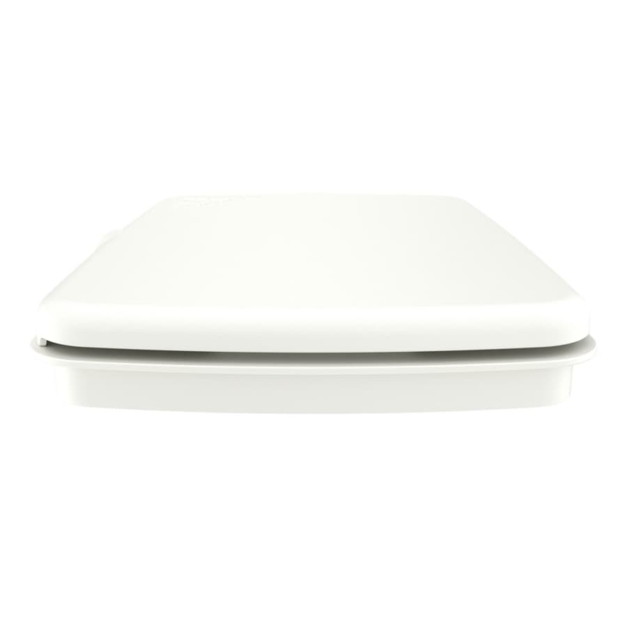 RV-32-LID-1, detail 13