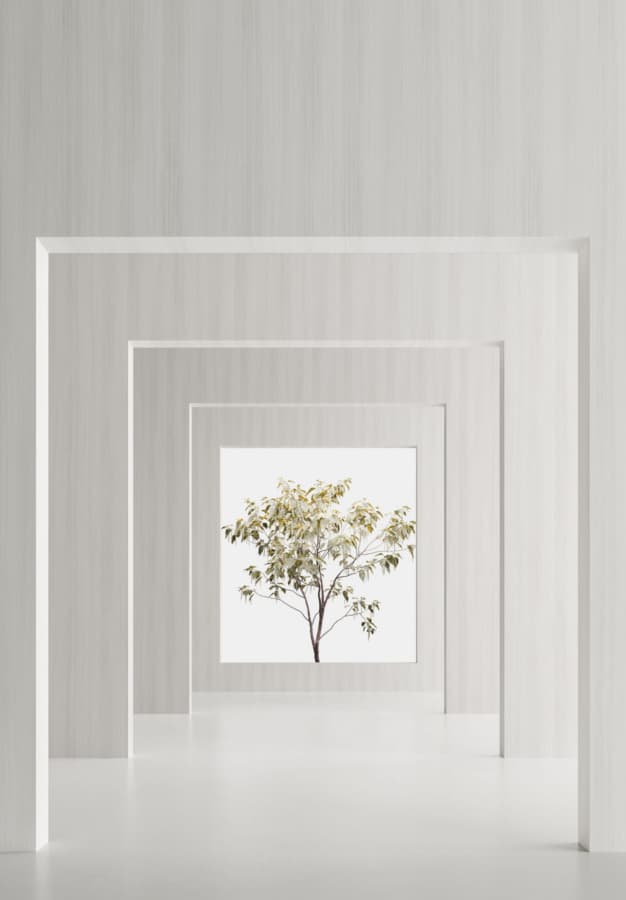SALT High Pressure Laminate, GSDB1 Eucalipto White, Laguna Finish, lifestyle 1
