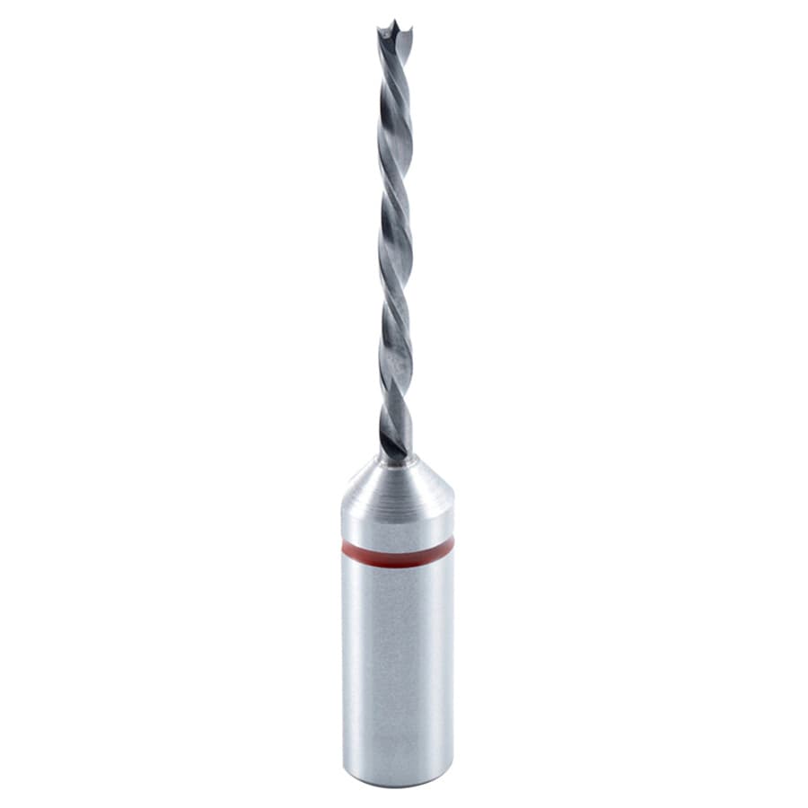 304003, detail 1