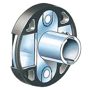 CB-241, detail 1