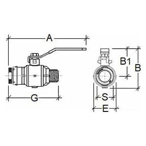 UCCMV.050040N, detail 2