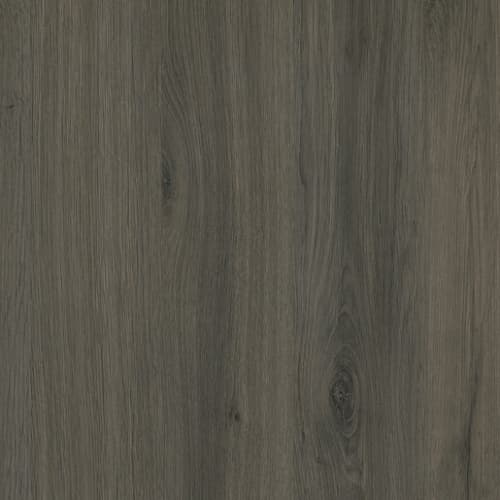 C2PPG99, detail 4