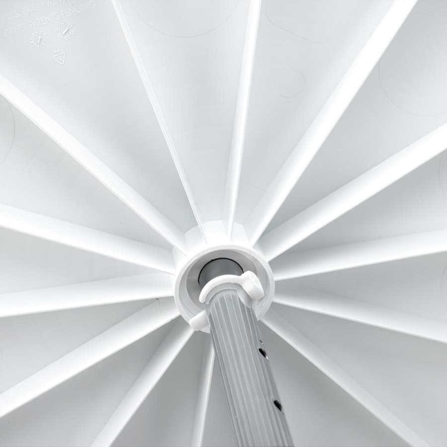 LD-24-0436-5, detail 2
