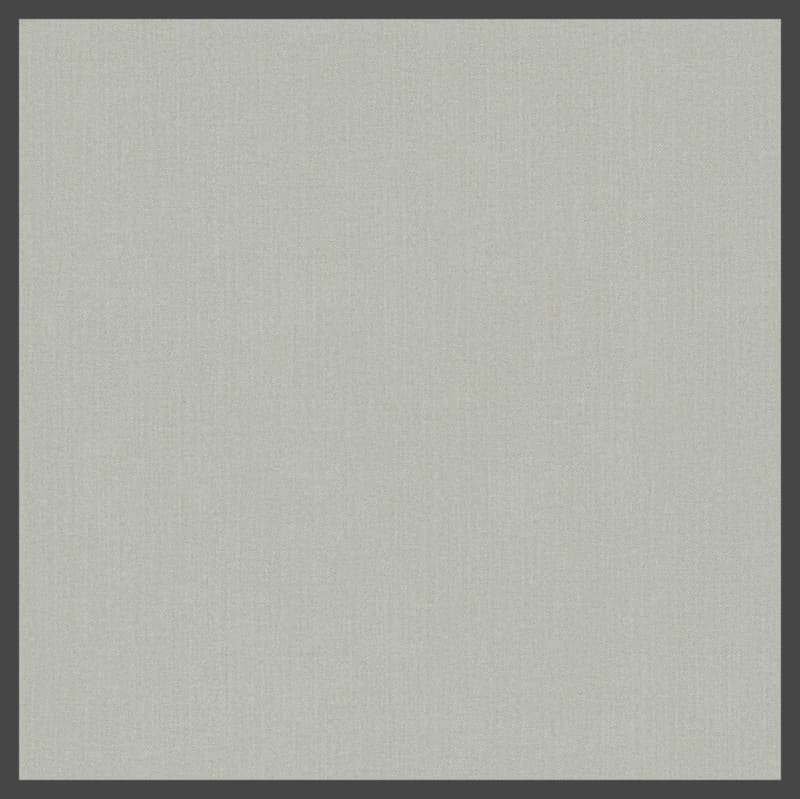 6124 RAW CLOTH 20/58 4' X 8', 061242058408000