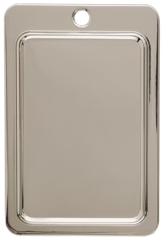 Finish Chip, Polished Nickel