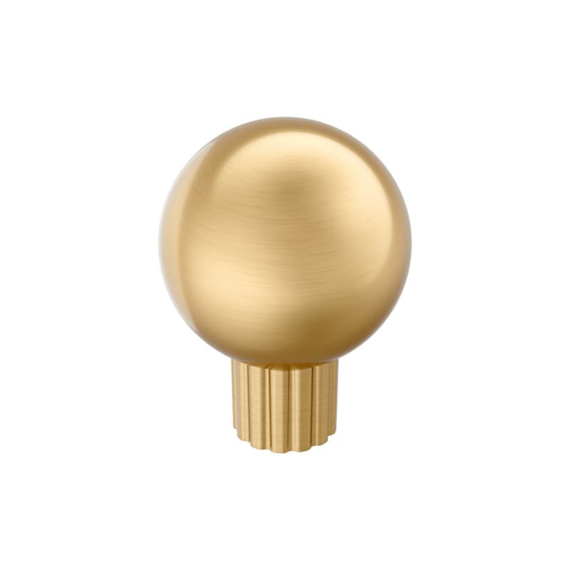 29mm Cowrie Cabinet Knob, Champagne Bronze