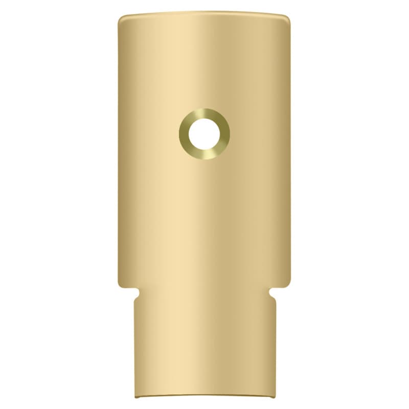 Back Plate 3-1/4" x 1" for DASH95, Brushed Brass