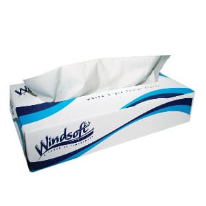 Windsoft 2 Ply Facial Tissue, 100 Sheet/Box