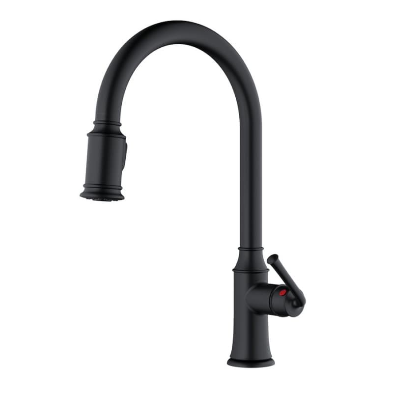 Auburn Single-Handle Pull-Down Kitchen Faucet with Dual-Function Sprayer, Matte Black