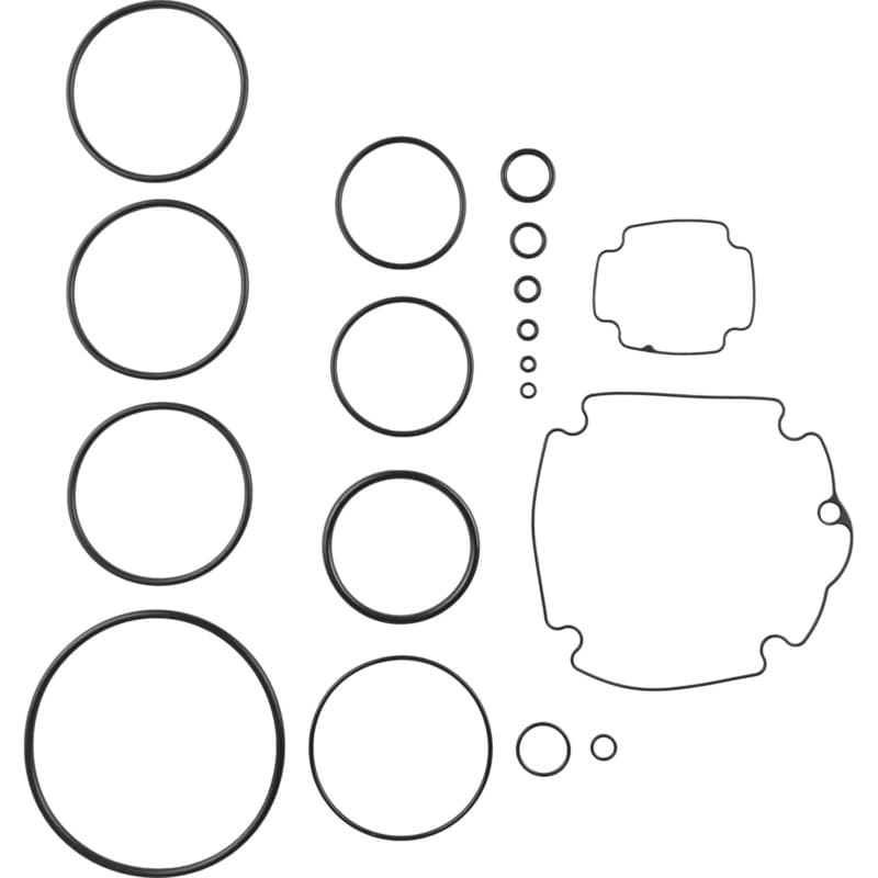 O-Ring Repair Kit for AN924