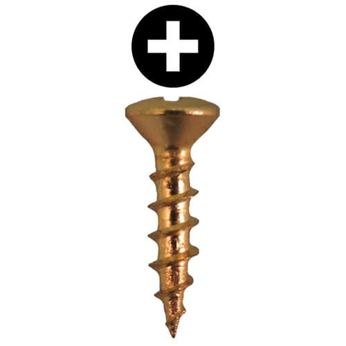 #6 x 5/8" Oval Head Hinge Edge Screws, Phillips Drive Coarse Thread and Sharp Point, Bright Brass, Box of Hundred by Quickscrews