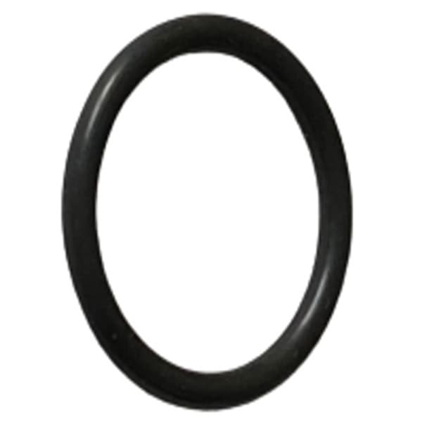 Inner O-Ring