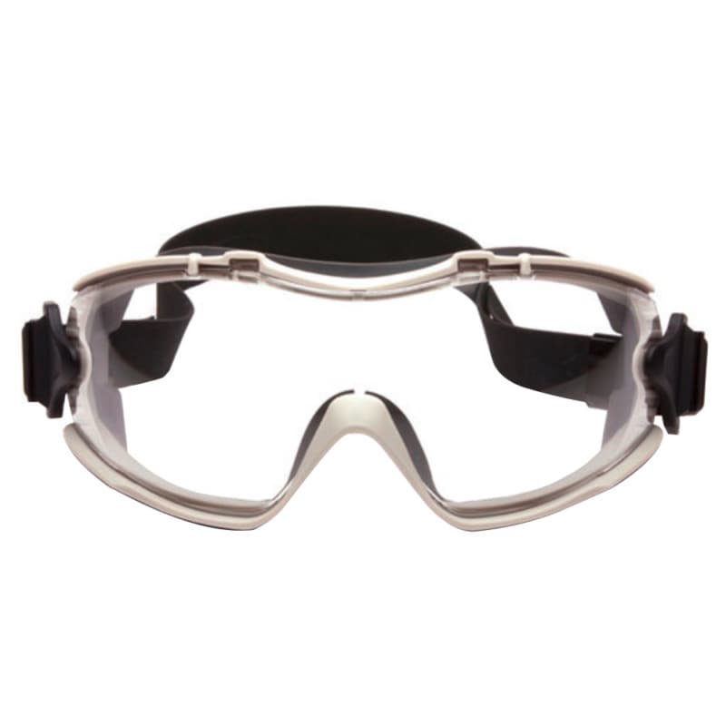 Aegis Safety Goggle, Anti-Fog, Clear