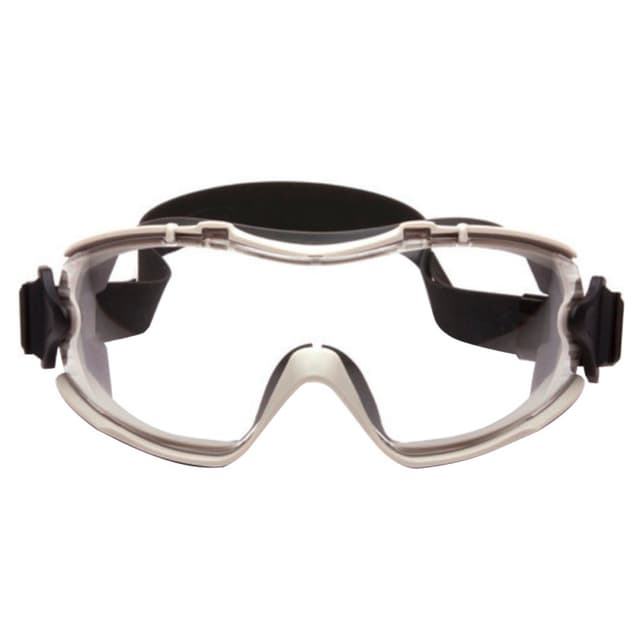 Aegis Safety Goggle, Anti-Fog, Clear