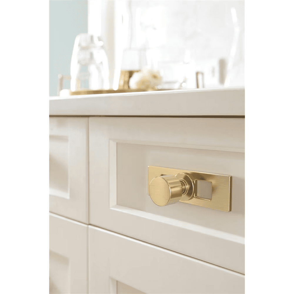 94mm Medora Rectangle Cabinet Knob Backplate, Golden Champagne Alt 3 - Image