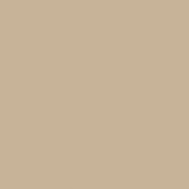 Formica Laminate 8751-58 Mojave, General Purpose Grade Matte Finish, 48" x 120"