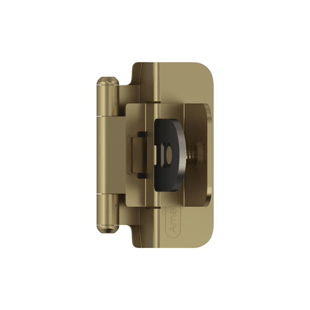 Double Demountable Hinge, Self-Closing, 3/8" Inset, Burnished Brass