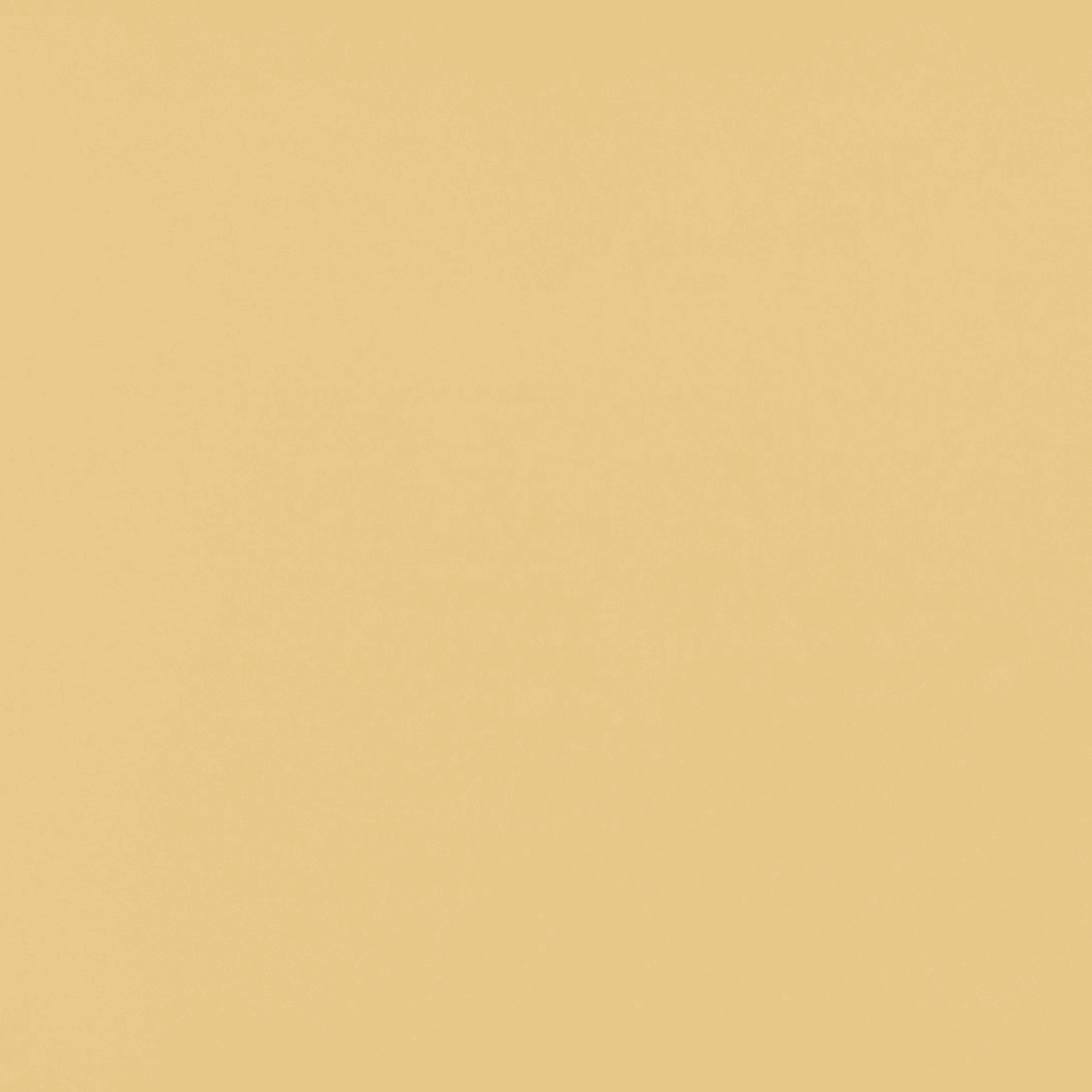 Nevamar Laminate PR2002-T Papier Au Lait, Horizontal Postforming Grade ARP Finish, 60" x 120"