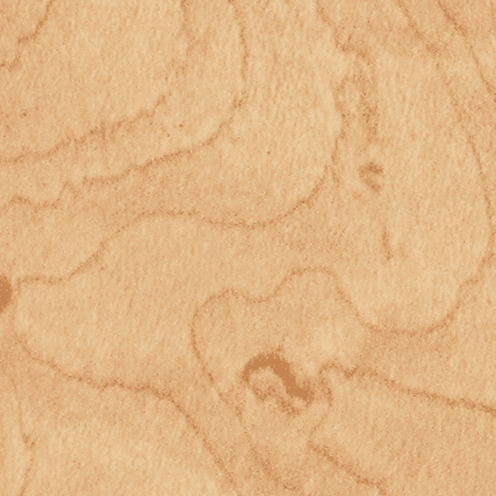 Nevamar Laminate WM8322-T Honey Maple, Horizontal Postforming Grade ARP Finish, 48" x 96"