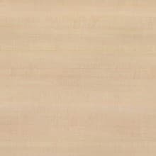 Nevamar Laminate Color W8351 Fine Sycamore