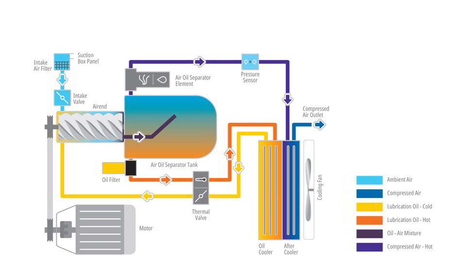EN Series Schematic