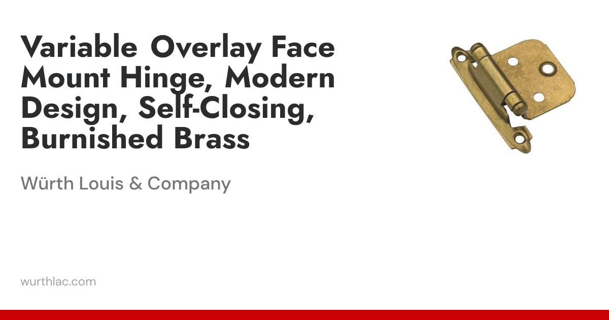 Variable Overlay Face Mount Hinge, Modern Design, Self-Closing ...